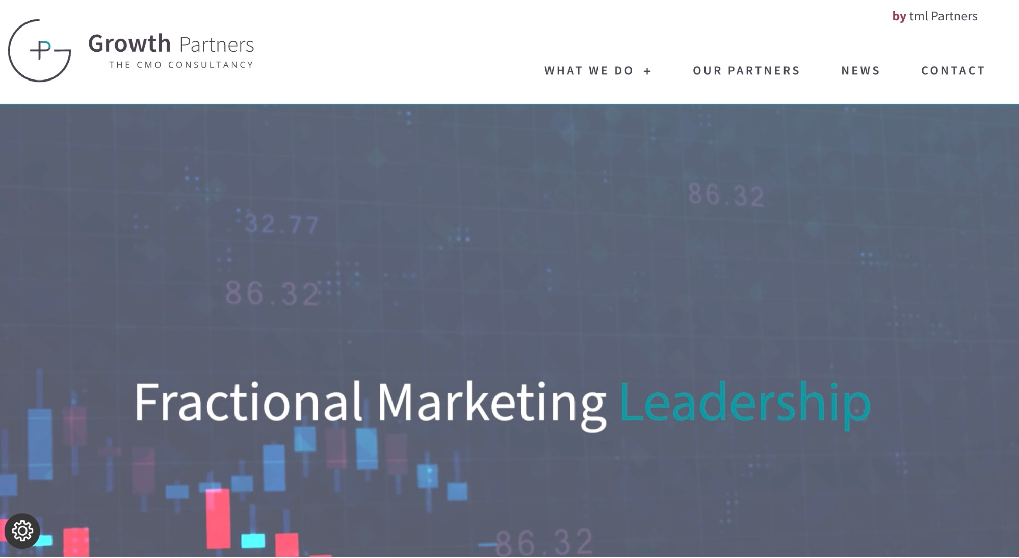 Picture of Growth Partners homepage